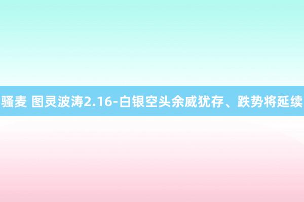 骚麦 图灵波涛2.16-白银空头余威犹存、跌势将延续