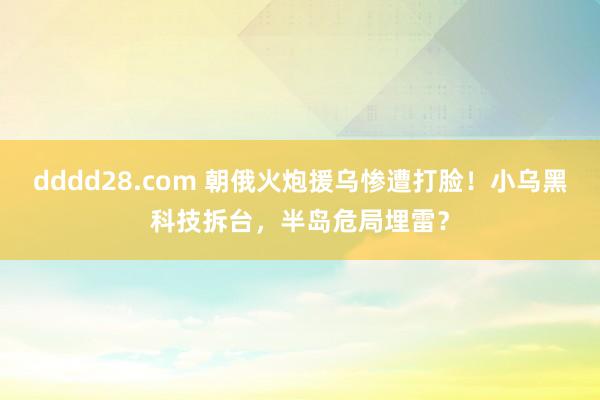 dddd28.com 朝俄火炮援乌惨遭打脸！小乌黑科技拆台，半岛危局埋雷？