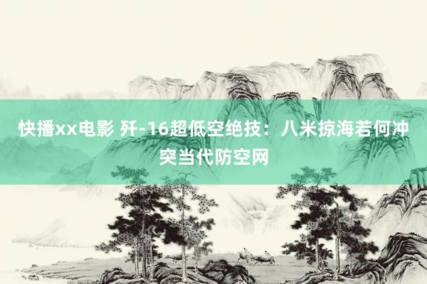 快播xx电影 歼-16超低空绝技：八米掠海若何冲突当代防空网