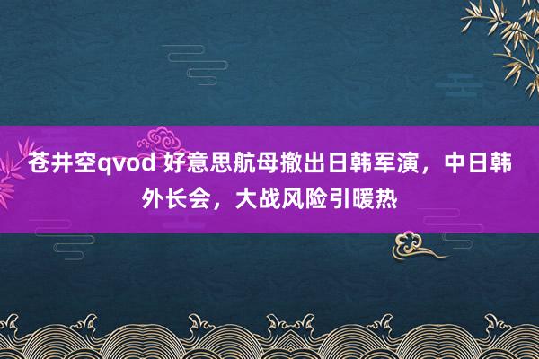 苍井空qvod 好意思航母撤出日韩军演，中日韩外长会，大战风险引暖热
