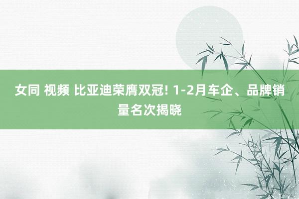女同 视频 比亚迪荣膺双冠! 1-2月车企、品牌销量名次揭晓
