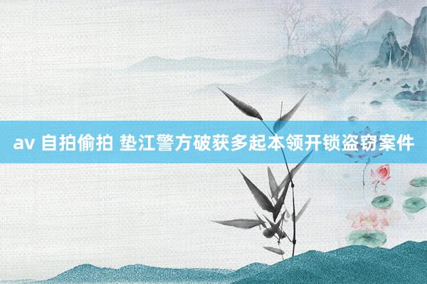 av 自拍偷拍 垫江警方破获多起本领开锁盗窃案件