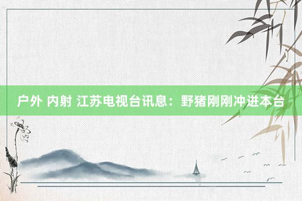 户外 内射 江苏电视台讯息：野猪刚刚冲进本台