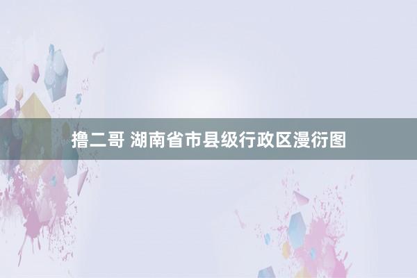 撸二哥 湖南省市县级行政区漫衍图